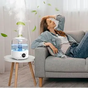 Can a humidifier cause mold in a room