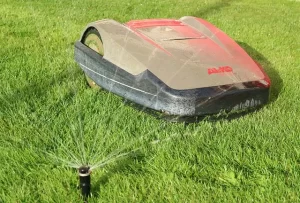 Cutting the Grass When Wet