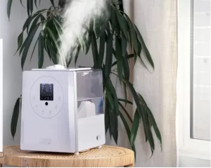 Ultimate Humidifier Buying Guide