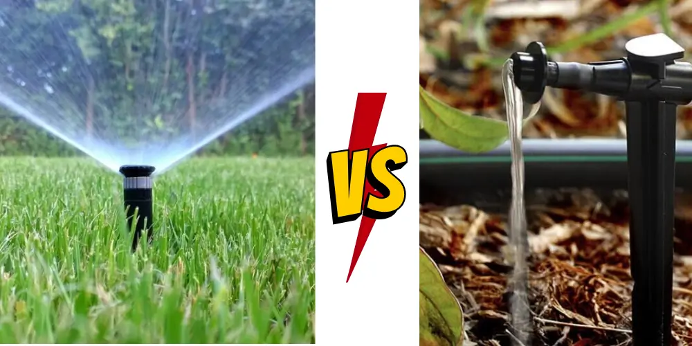 Drip Vs. Spray Irrigation