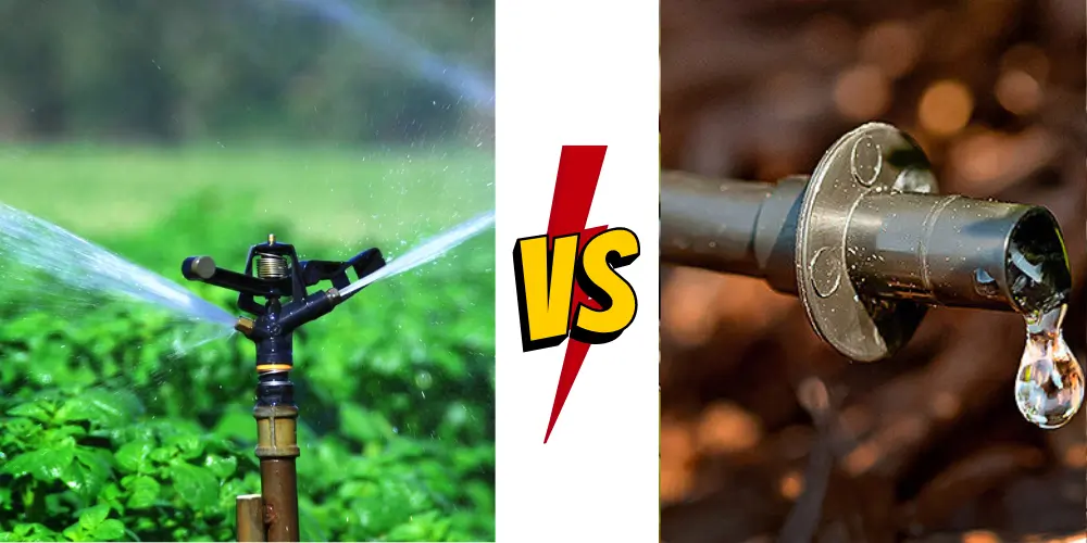 Comparison of Drip Vs. Spray Irrigation