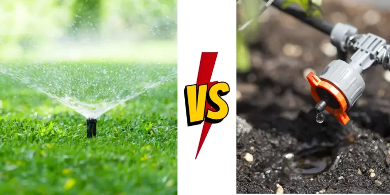 Drip Vs. Spray Irrigation: Which Should You Use And Why?