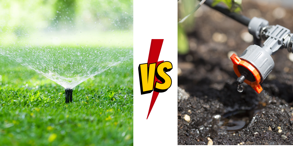 Drip Vs. Spray Irrigation Which Should You Use And Why?