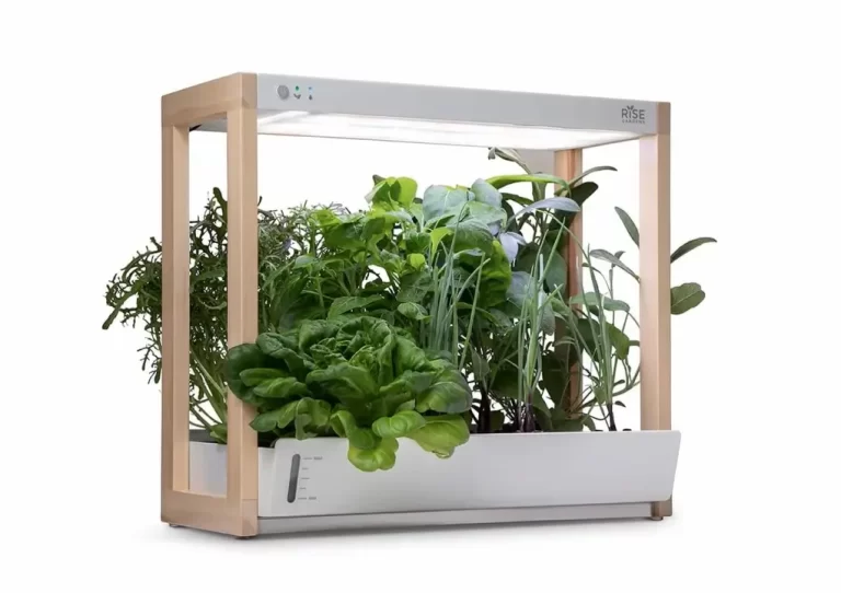 Are Indoor Hydroponic Gardens Worth It? Pros & Cons