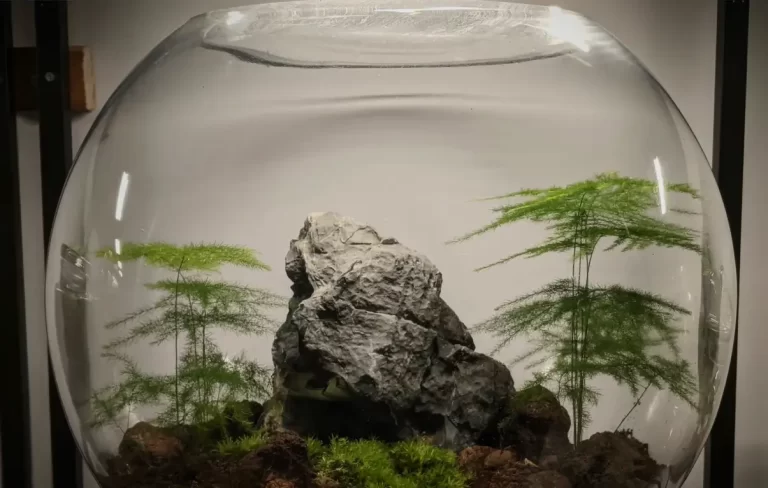 How To Keep Heat In Glass Terrarium: Best Practice