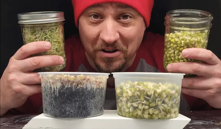 Are Microgreens Safer Than Sprouts? What No One Told You