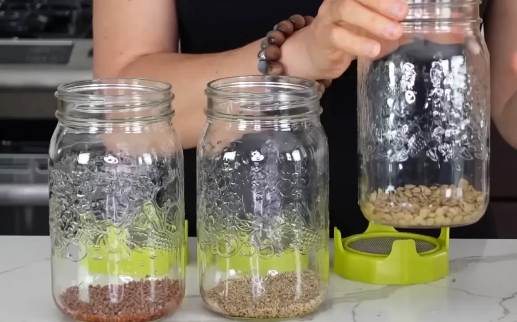 How Often To Water When Growing Microgreens In A Mason Jar?