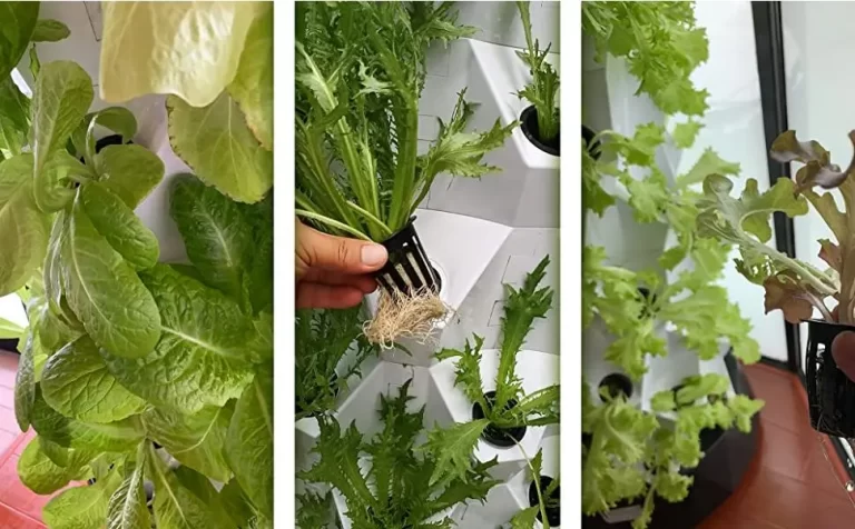 What Is a Tower Garden? Everything You Need to Know